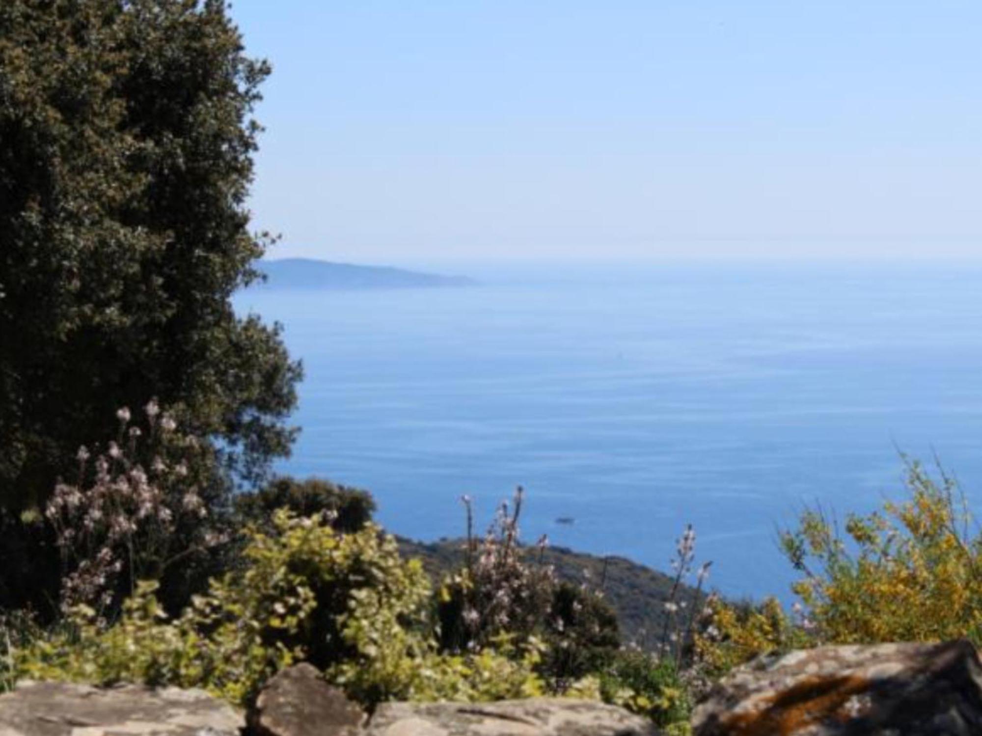 Vakantiehuis Paomia *